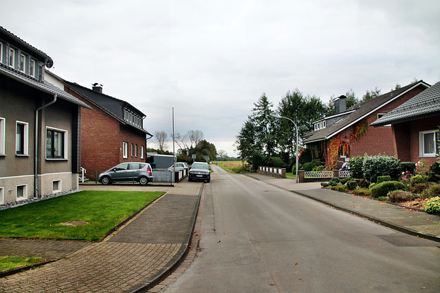 Am Hebewerk (Waltrop-Oberwiese) / 17.10.2024