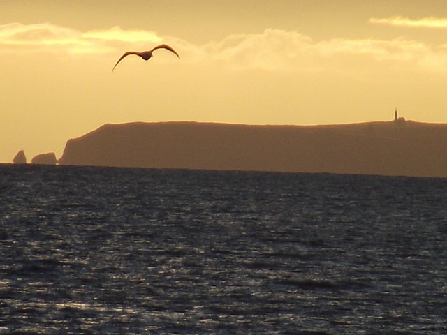 Close up of the outcrop on the edge of the island