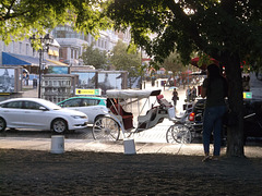 Rainy carriage / Calèche pluvieuse