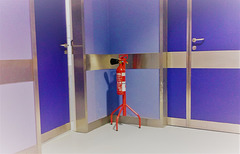 Each monkey on his branch