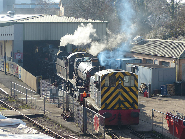 On Shed at Churston (2) - 14 February 2019