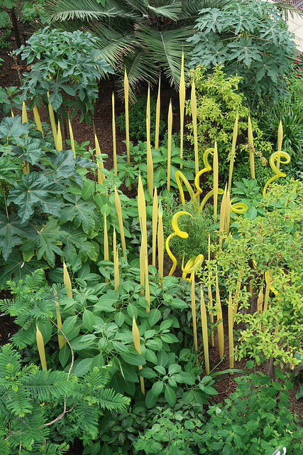 Yellow reeds