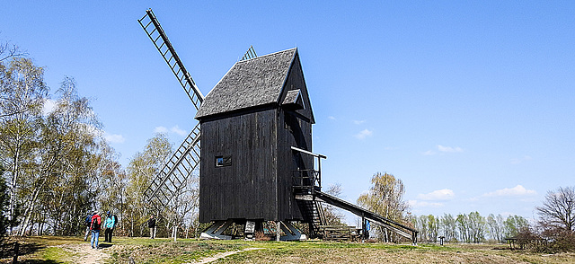 20190409 4660CPw [D~HVL] Bockwindmühle, Gülper See, Prietzen, Südufer