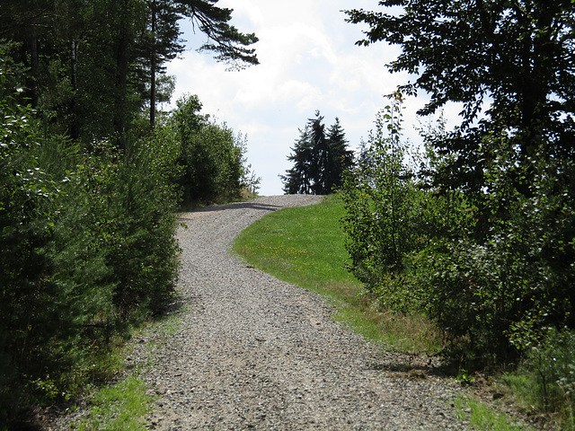 am Weg Richtung Kappl