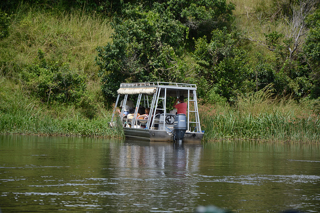 Uganda, Victoria Nile River, Looking for Crocodiles and Hippos