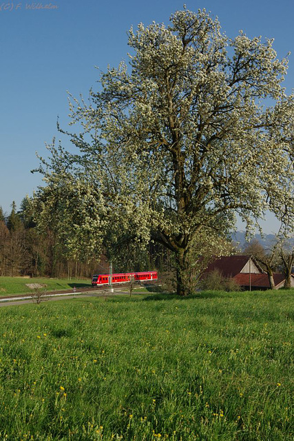 BÖ0018982 BÖ0018982