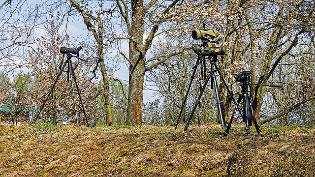 20190409 4661CPw [D~HVL] Mittagsrast, Gülper See, Bockwindmühle, Gülper See, Prietzen, Südufer