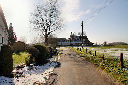 Schmerhöfeler Weg (Bönen) / 3.02.2019