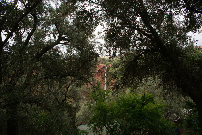 Cascades D'Ouzoud Through The Trees