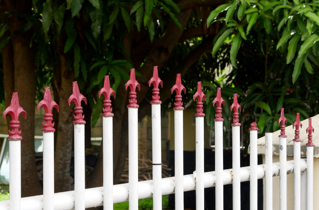 Tonga Fence (HFF)