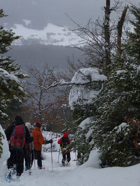 20150131 Raquettes Vercors La Goulandiere (51) al