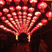 China light  Kölner Zoo