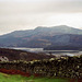 View along Afon Mawddach from the path to Dinas Oleu (Scan from 1993)