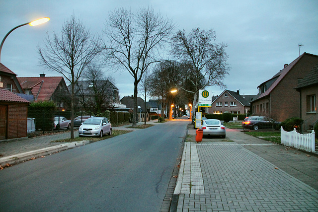 Halterner Straße (Datteln-Ahsen) / 1.12.2018