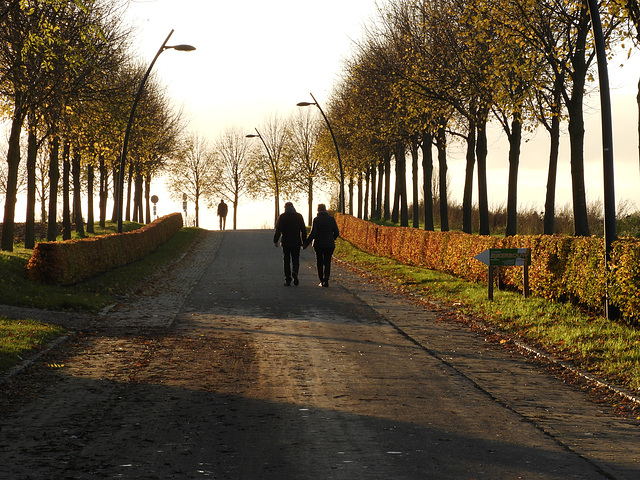 Autumn road 2