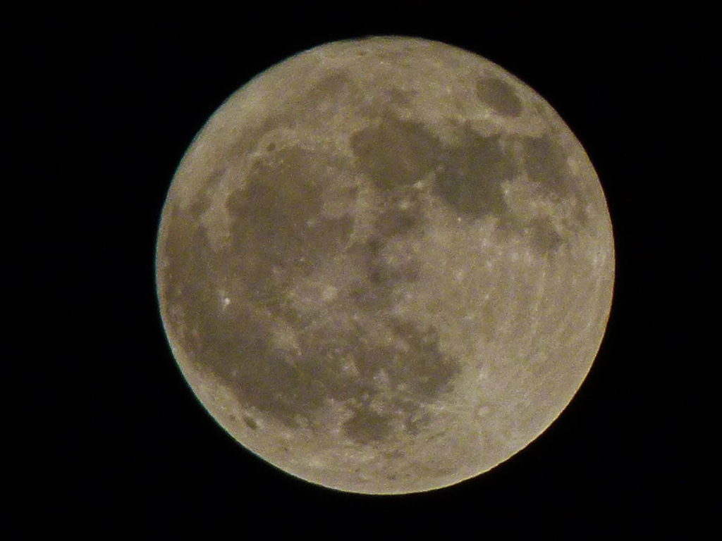 Moon (31)
