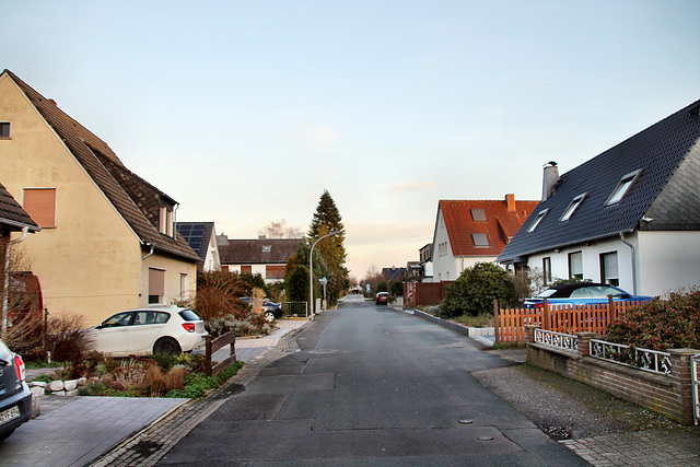 Uelzener Hellweg (Unna-Uelzen) / 12.02.2022