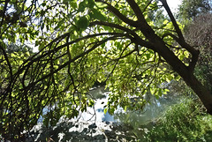 Lumière d'automne Lumière d'automne