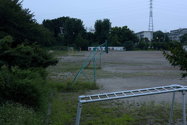 Weeds grow on school ground