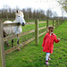 Ma petite-fille Clémence & le cheval blanc
