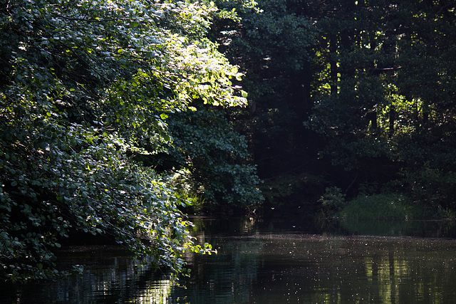 lac d'Alfeld