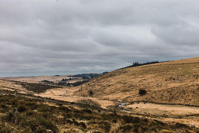 Dartmoor - 20180322