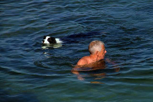 Heureux comme deux poissons dans l'eau .