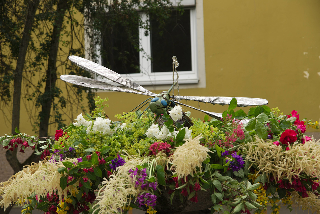 Brunnenfest 2019