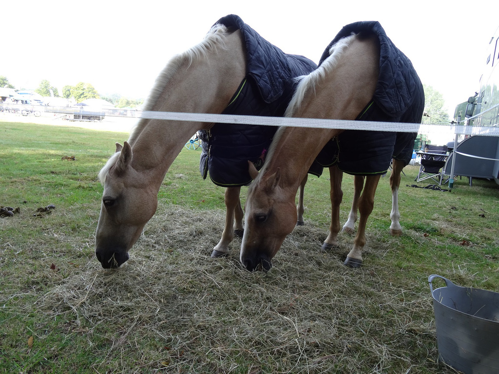 161stersaug242019 (1104)