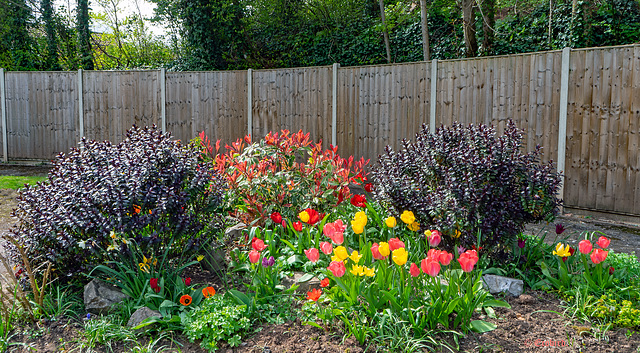 Happy Garden Fence Friday!!