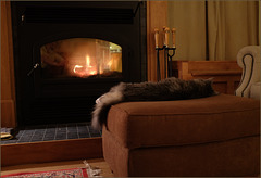 Self-portrait with cat and fireplace