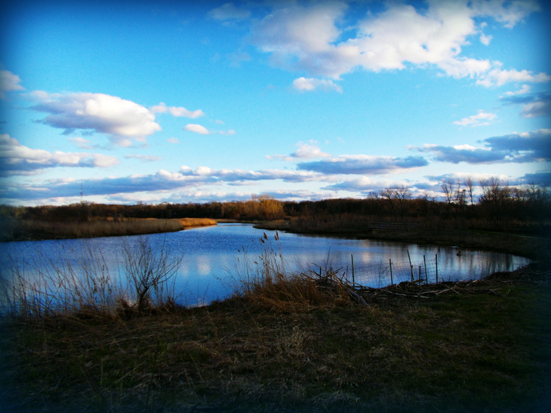 Prairie Lake Golden Hour Reflection