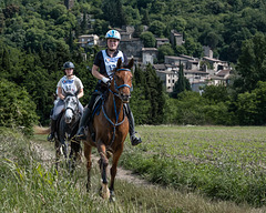 course d'endurance