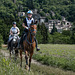 course d'endurance