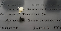 911 Memorial. On the birthdays of those who died that day, friends or relatives place a flower in remembrance.