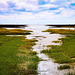 Wadden Sea