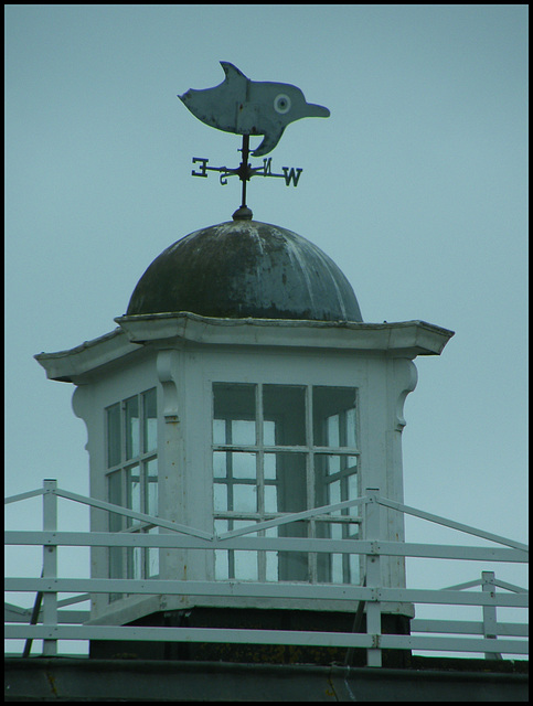 West Bay weather dolphin