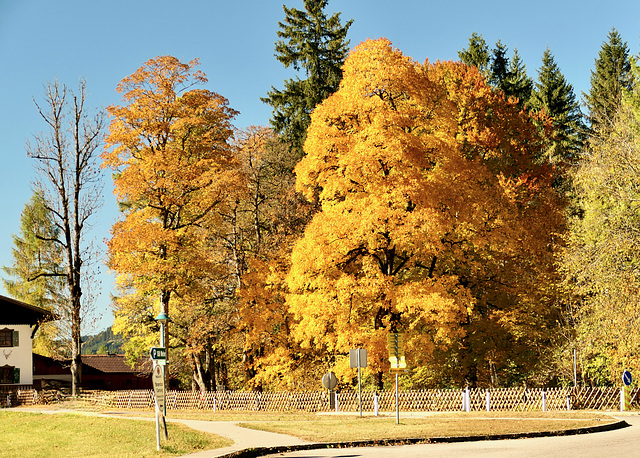 Erinnerung an den vergangenen Herbst