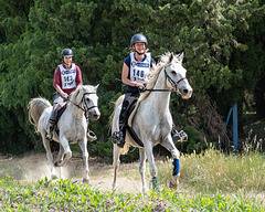course d'endurance