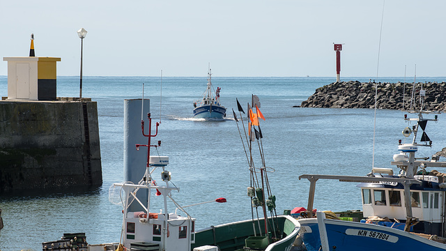 Baie de la Cotinière, Port de la Cotinière - 2016-04-27_D4_DSC6789