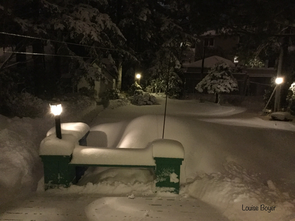 Lendemain de tempête