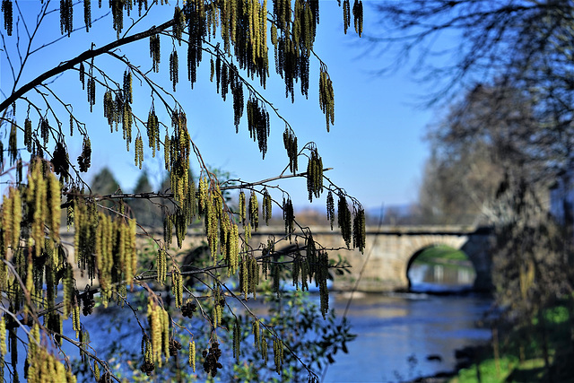 Ponte de Trajano