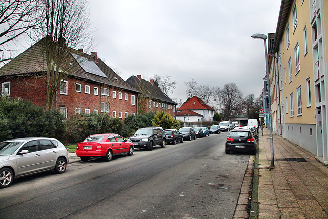 Karl-Meyer-Straße (Essen-Schonnebeck) / 21.01.2023