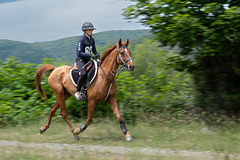 course d'endurance