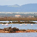 reserva natural  de Ses Salines (© Buelipix)