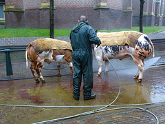 wassen