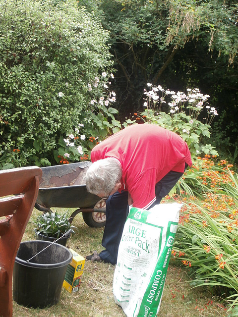 Mickey repotting the other plant