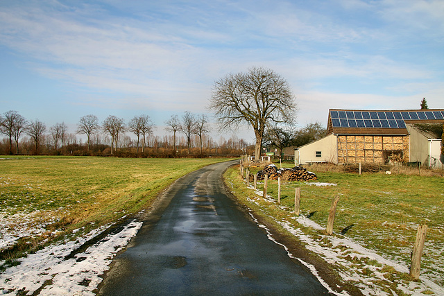 Schmerhöfeler Weg (Hamm) / 3.02.2019