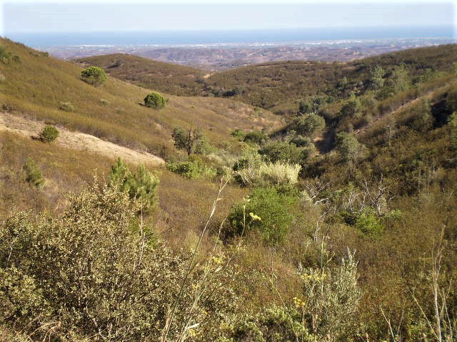 Beholding the sea in the far background.