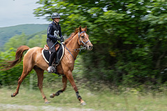 course d'endurance